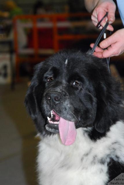 Фотография № 25292