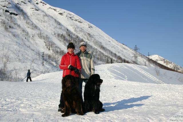 Фото: ньюфаундленд Kaiden Playful (Кайден Плейфул), ньюфаундленд Zorran Snejnyiy Podarok (Зорран Снежный Подарок)