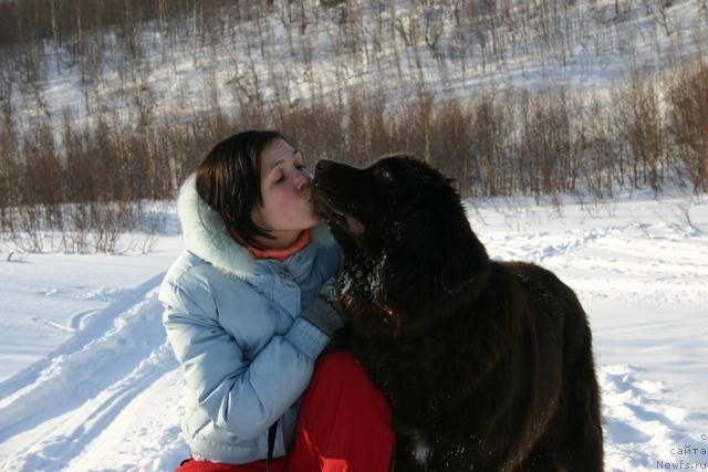 Фото: ньюфаундленд Zolushka Hrustal'naya Tufel'ka (Золушка Хрустальная Туфелька), Evgeniya Ivanova (Евгения Иванова)