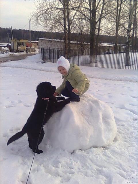 Фото: ньюфаундленд Toptyijka Siyanie ot Aysberga (Топтыжка Сияние от Айсберга), и дочка Оля