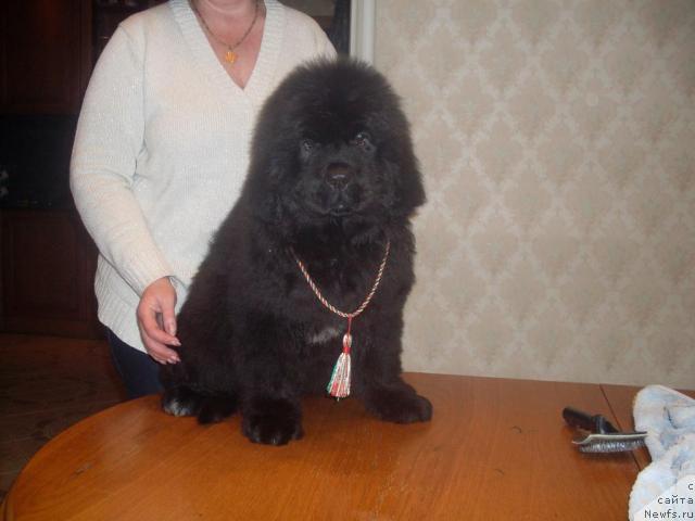 Фотография № 25434