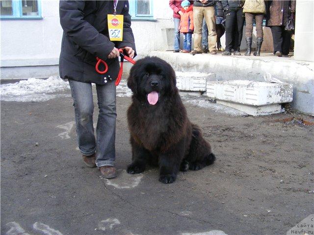 Фото: ЖИВОПИСНАЯ ЛЕДИ ОТ МД