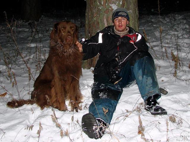 Фото: ньюфаундленд Lesnaya Skazka Izol'da (Лесная Сказка Изольда), Igor' Momot (Игорь Момот)
