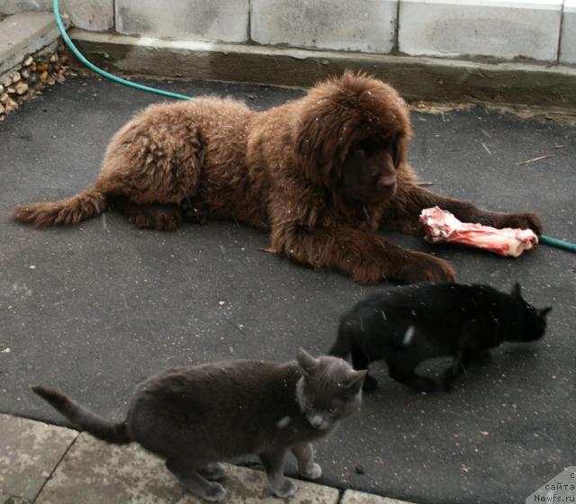 Фотография № 25546