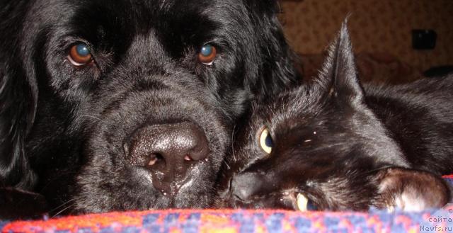 Фотография № 2555