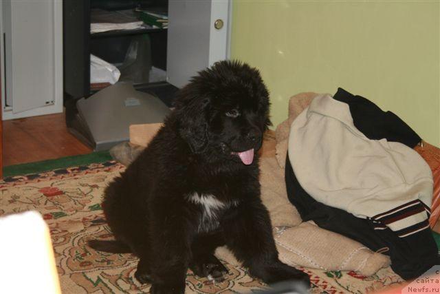 Фото: Лав стори из Тихого Омута