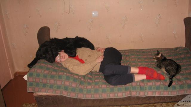 Фотография № 25569