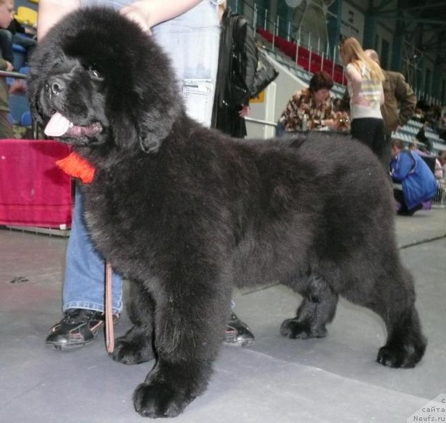 Фотография № 25590