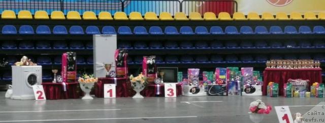 Фотография № 25592