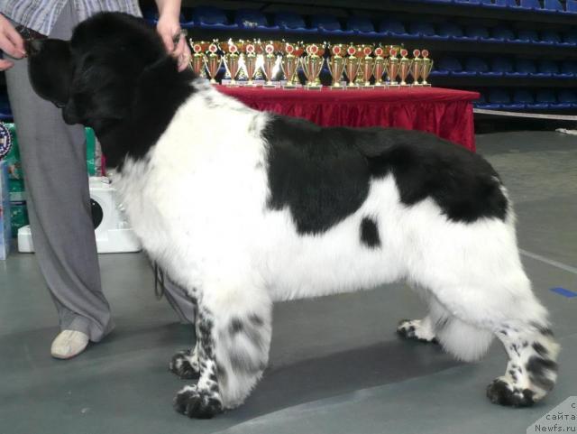 Фотография № 25612