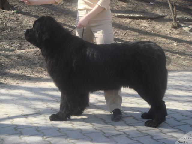 Фотография № 25668