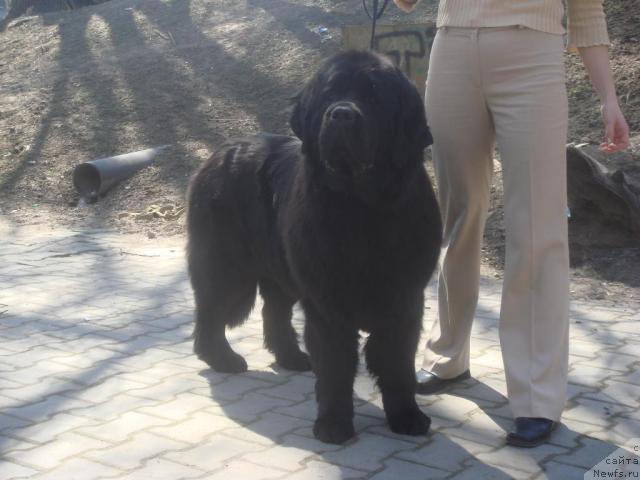 Фотография № 25669