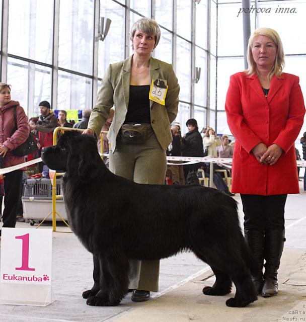 Фотография № 25705