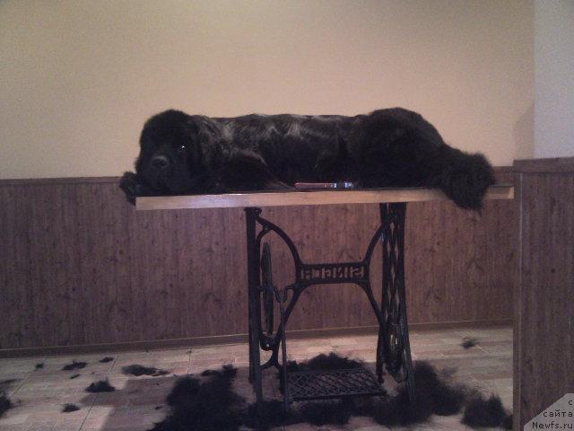 Фотография № 25749