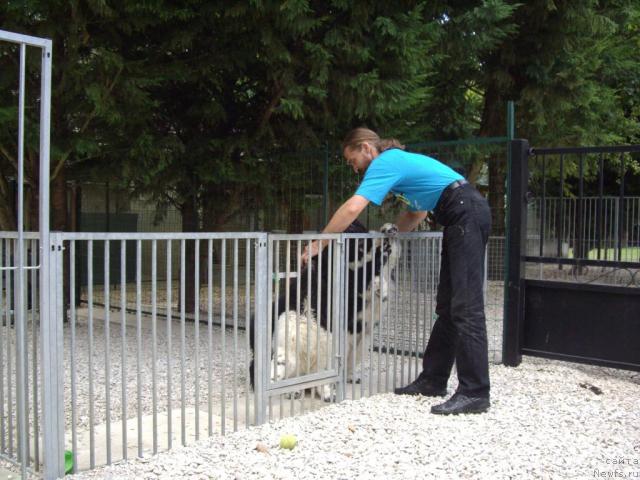 Фото: Aleksandr Jakov (Александр Жаков)