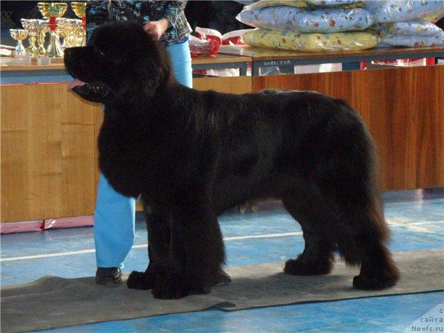 Фотография № 25828