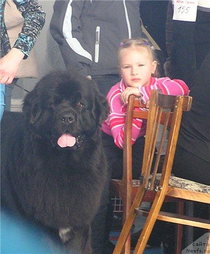 Фотография № 25829