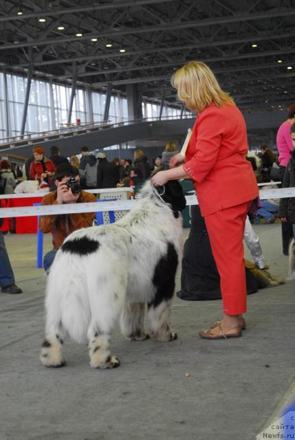 Фотография № 25869