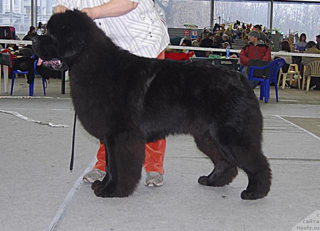 Фотография № 25873