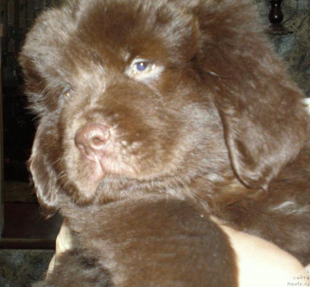 Фотография № 25891