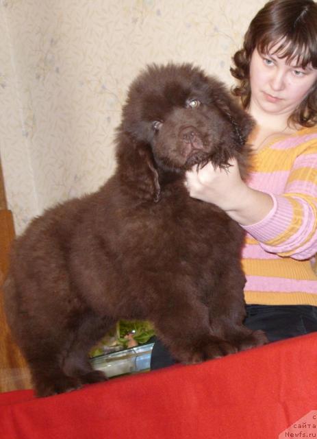 Фотография № 25892