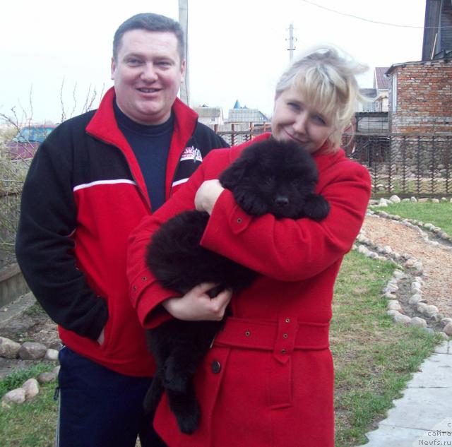 Фото: ньюфаундленд Lyubimyiy Lovelas (Любимый Ловелас), Анатолий, Tat'yana Bogdan (Татьяна Богдан)