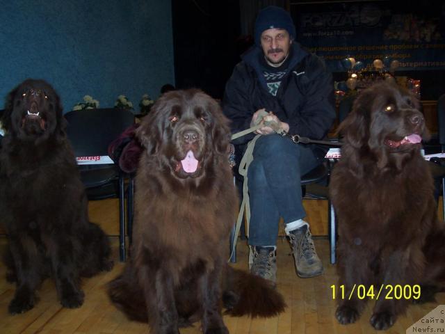 Фото: ньюфаундленд Funnewf Gospozha Udacha (Фанньюф Госпожа Удача), ньюфаундленд Smigar Rishel Lady Fortuna (Смигар Ришель Леди Фортуна)