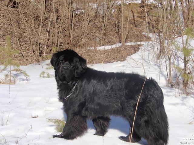 Фотография № 25965