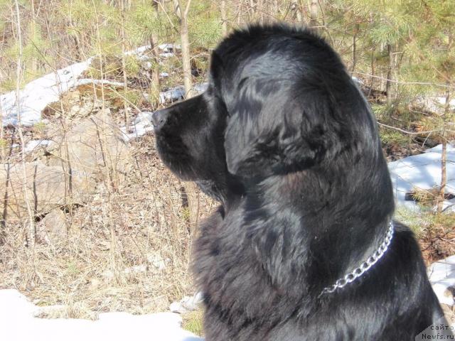 Фотография № 25985