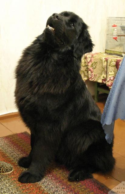 Фотография № 25992