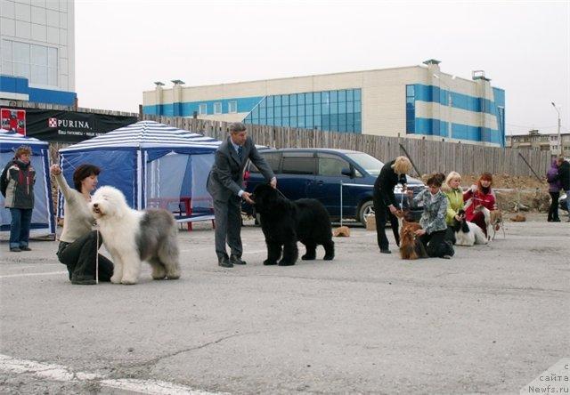 Фотография № 26006