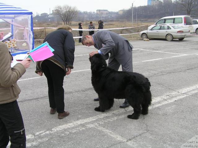 Фотография № 26008