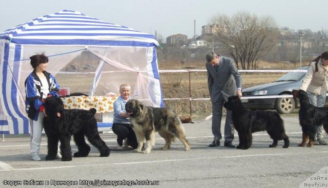 Фотография № 26010