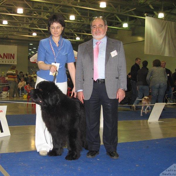 Фото: ньюфаундленд EE Velichestvo ot Sibirskogo Medvedja (Её Величество от Сибирского Медведя)