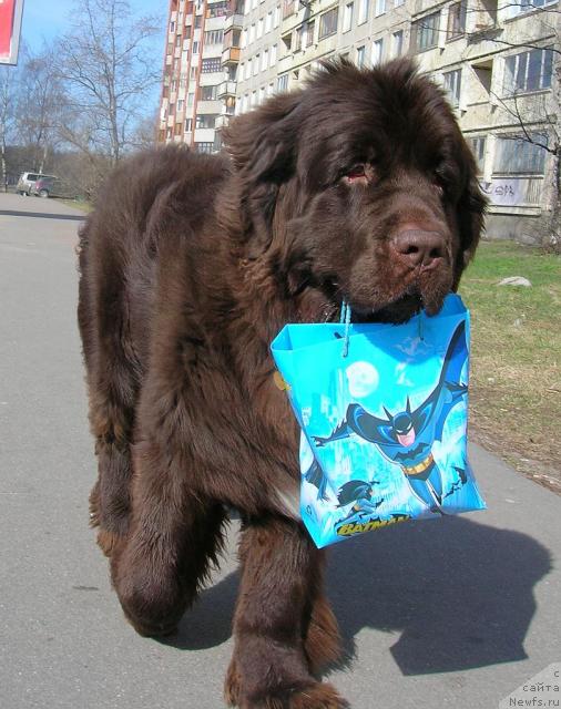 Фотография № 26043