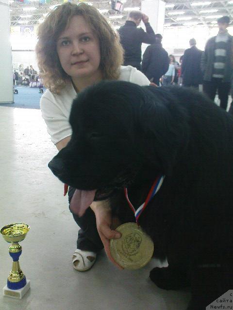 Фотография № 26104