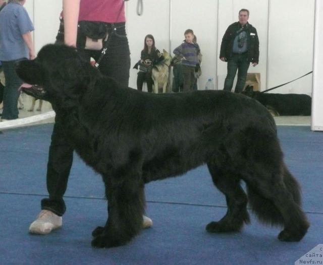 Фотография № 26129