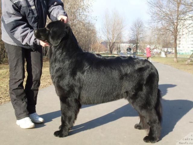 Фотография № 26140