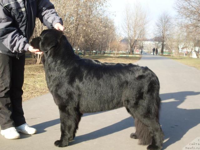 Фотография № 26141