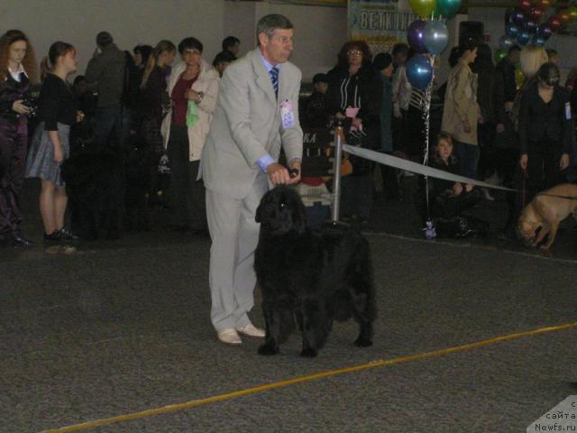 Фотография № 26150