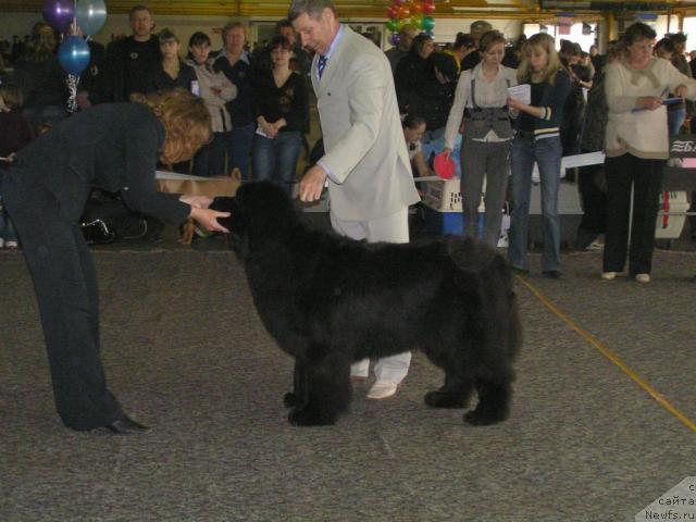 Фотография № 26152