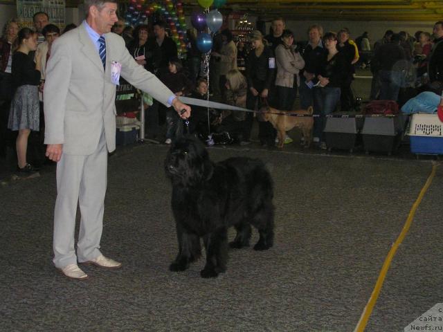 Фотография № 26153