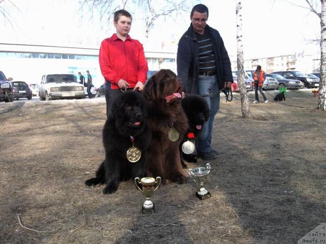 Фотография № 26156