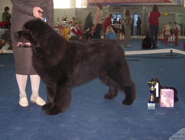 Фотография № 26175