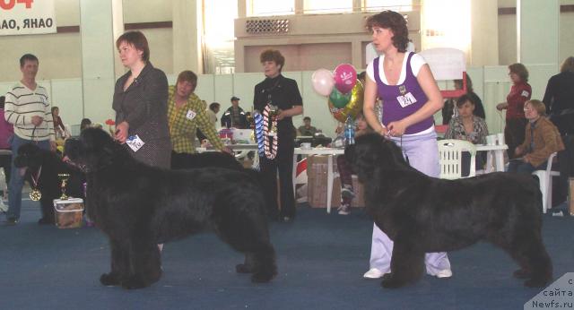 Фотография № 26178