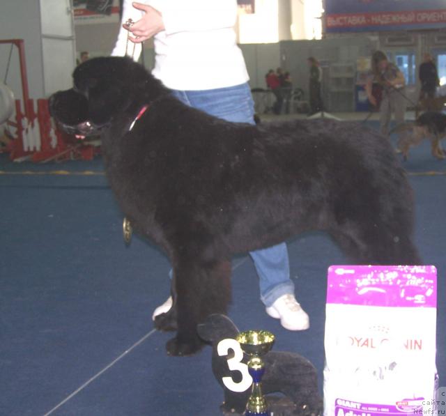 Фотография № 26188