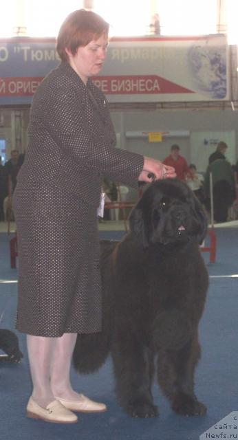 Фотография № 26192