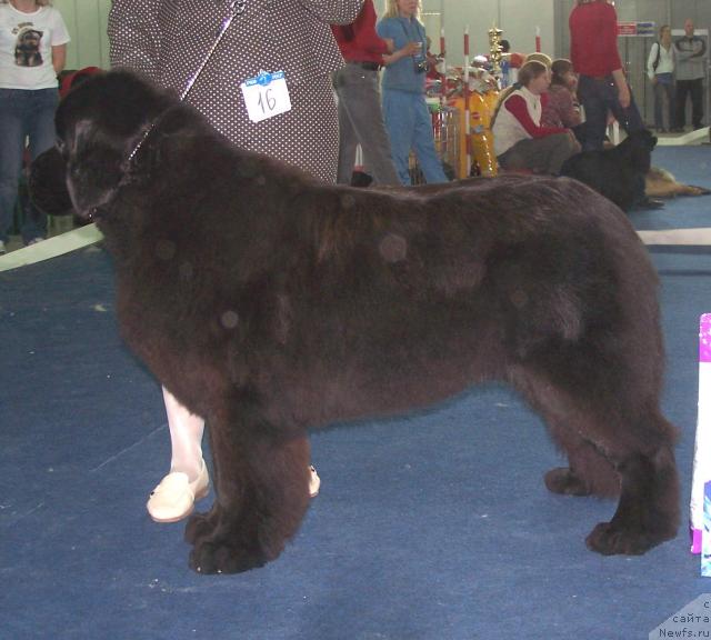 Фотография № 26193