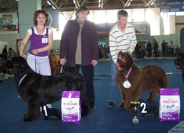 Фотография № 26199