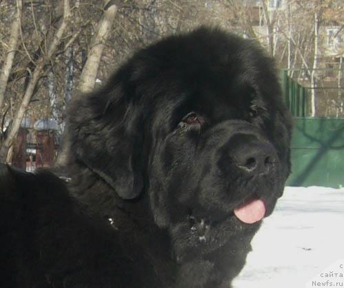 Фотография № 2620